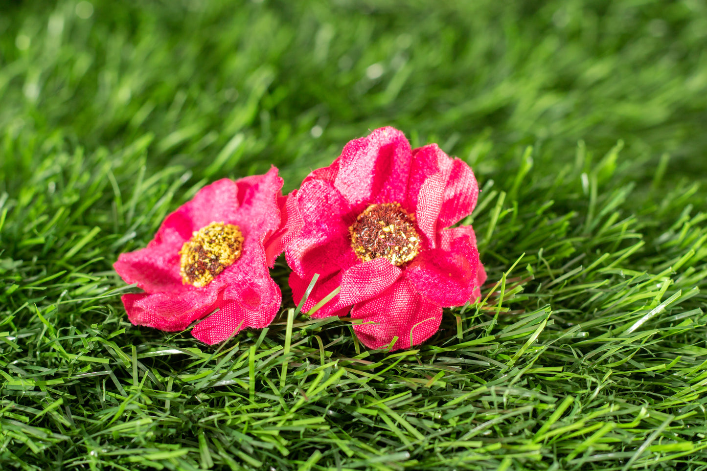 Japanese camellia