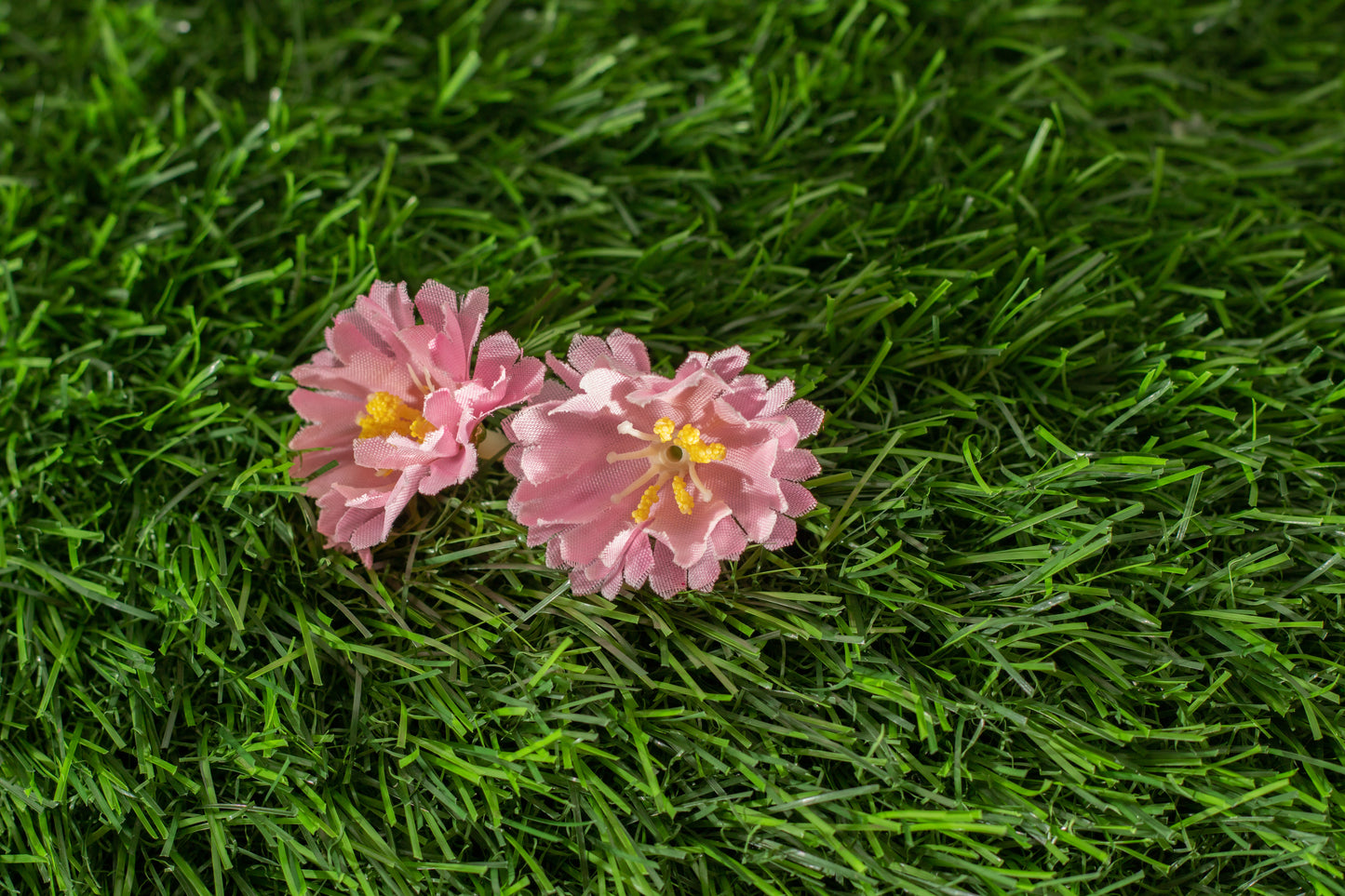 Moss Rose (edit)