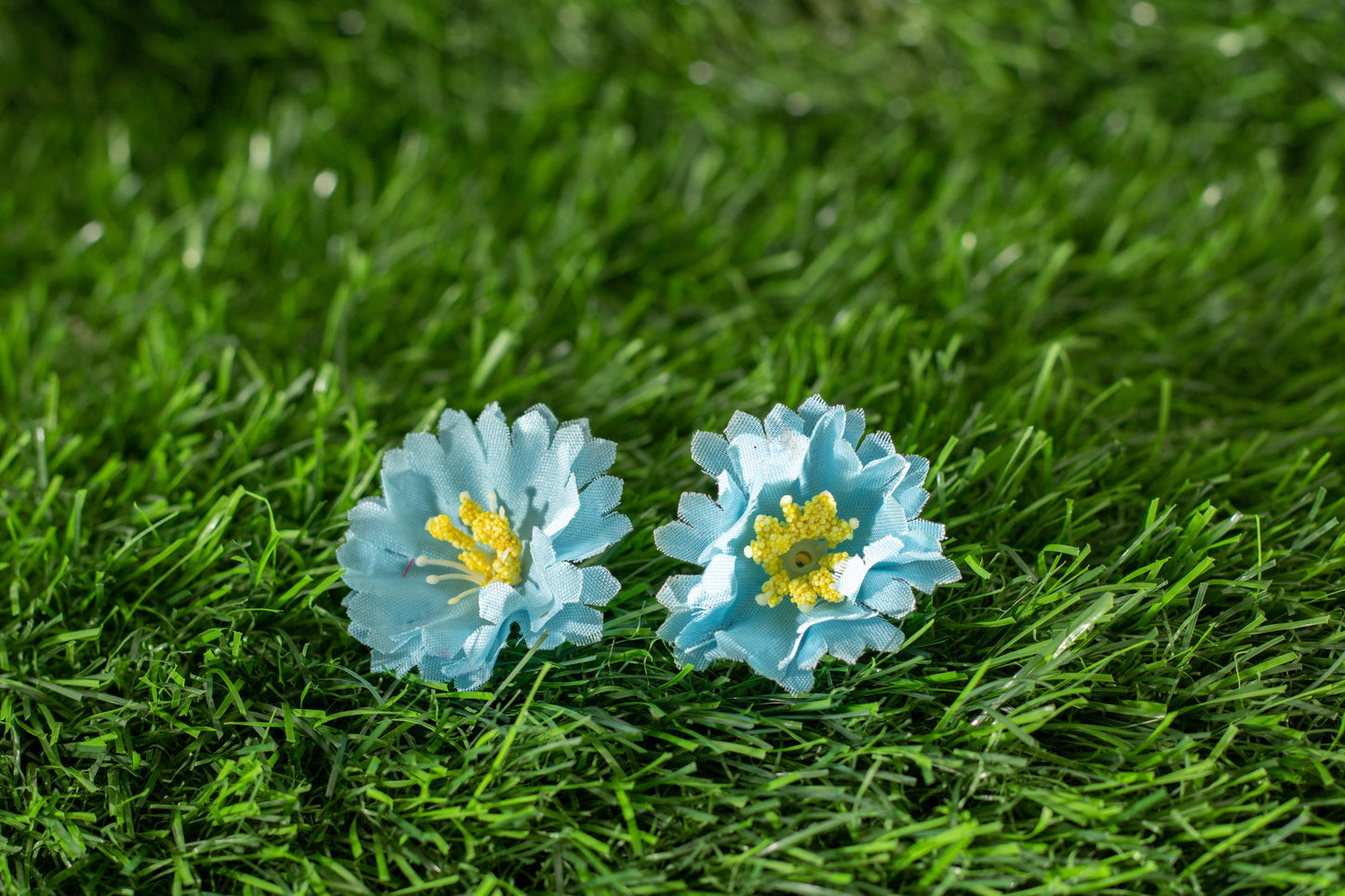 Moss Rose (edit)