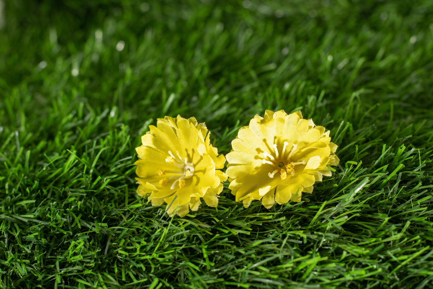Moss Rose (edit)