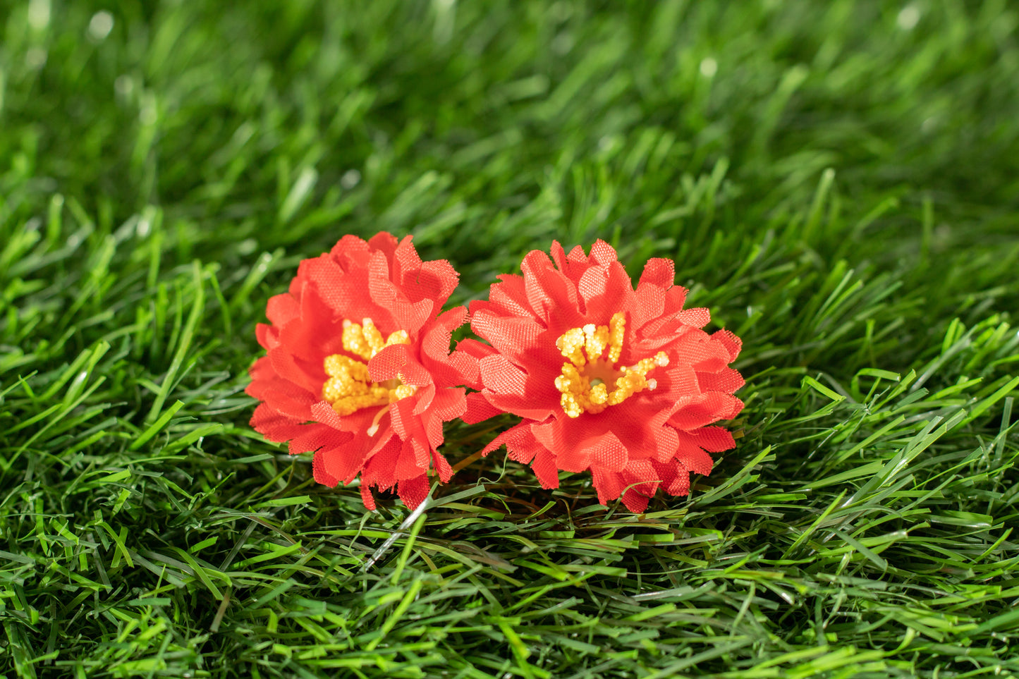 Moss Rose (edit)