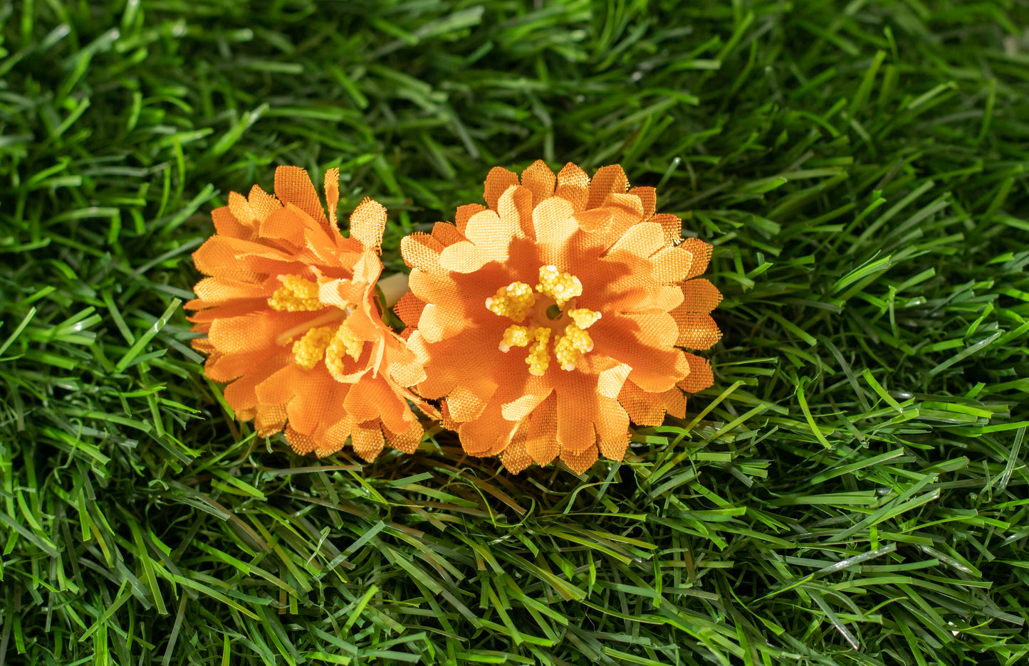 Moss Rose (edit)