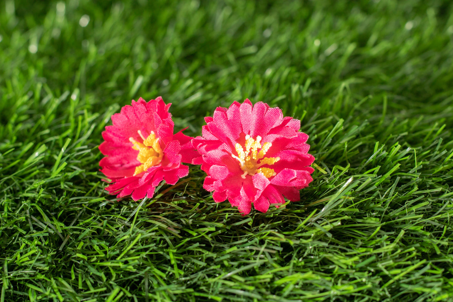 Moss Rose (edit)