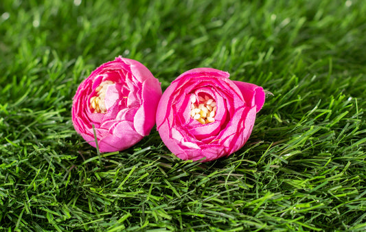 Conspicuous Flower (edit)