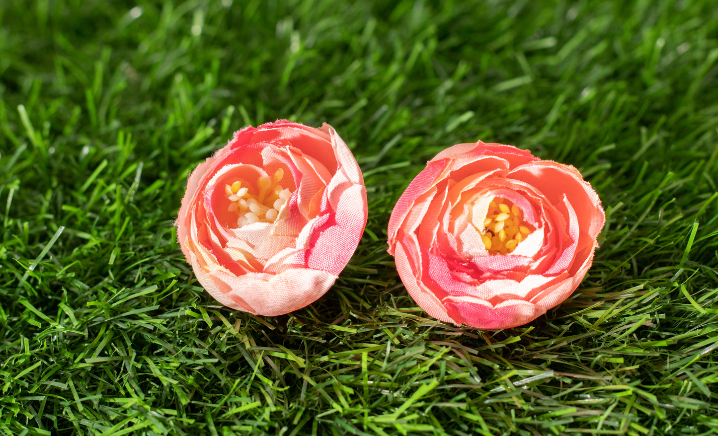 Conspicuous Flower (edit)