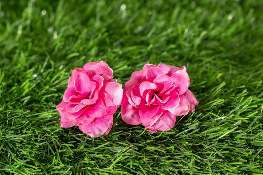 Camellia Japonica (edit)