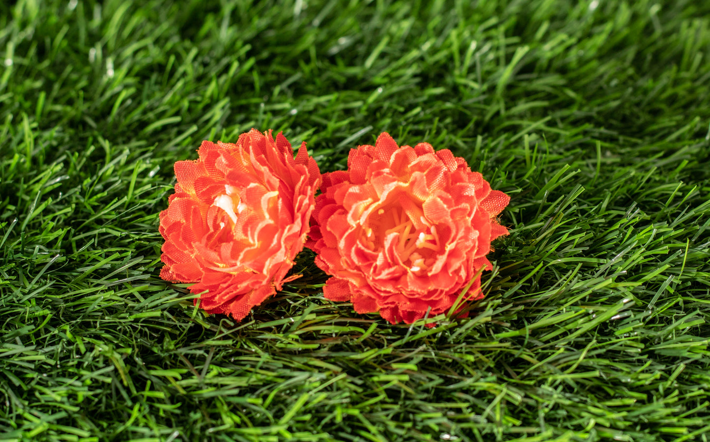 Flower of God (edit)