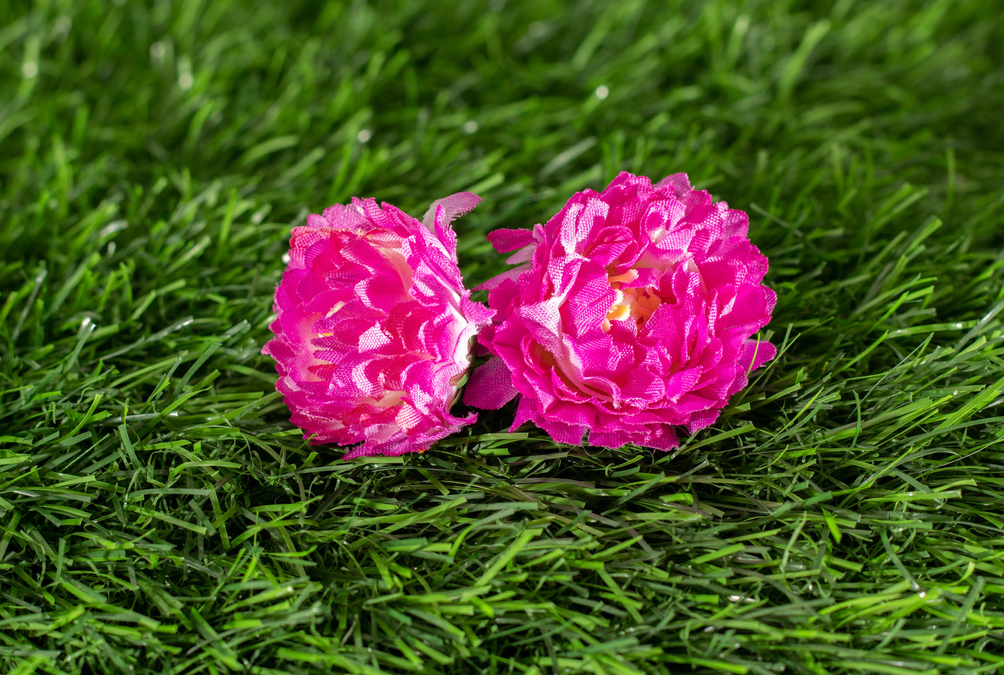 Flower of God (edit)