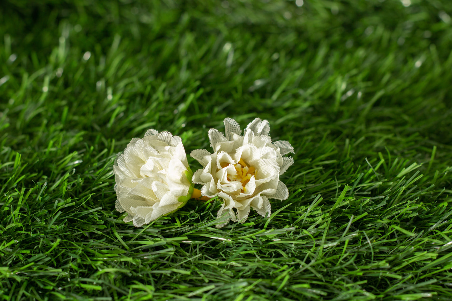 Gardenias (edit)