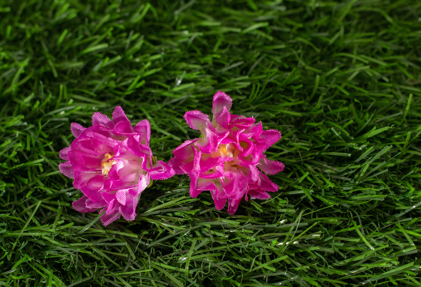 Gardenias (edit)