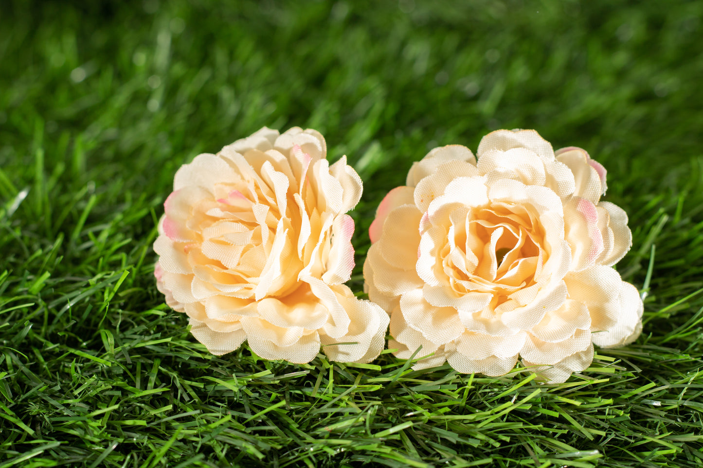 Floribunda Roses