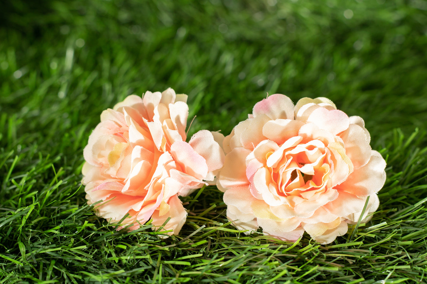 Floribunda Roses