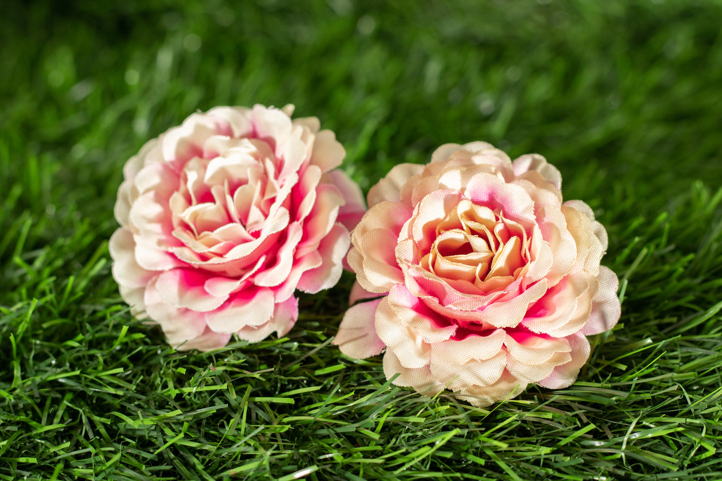 Floribunda Roses
