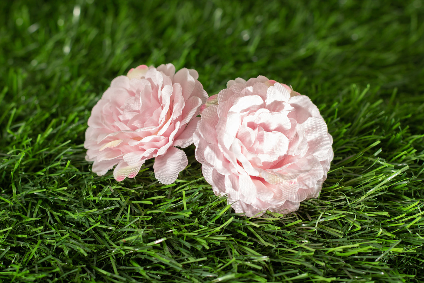Floribunda Roses