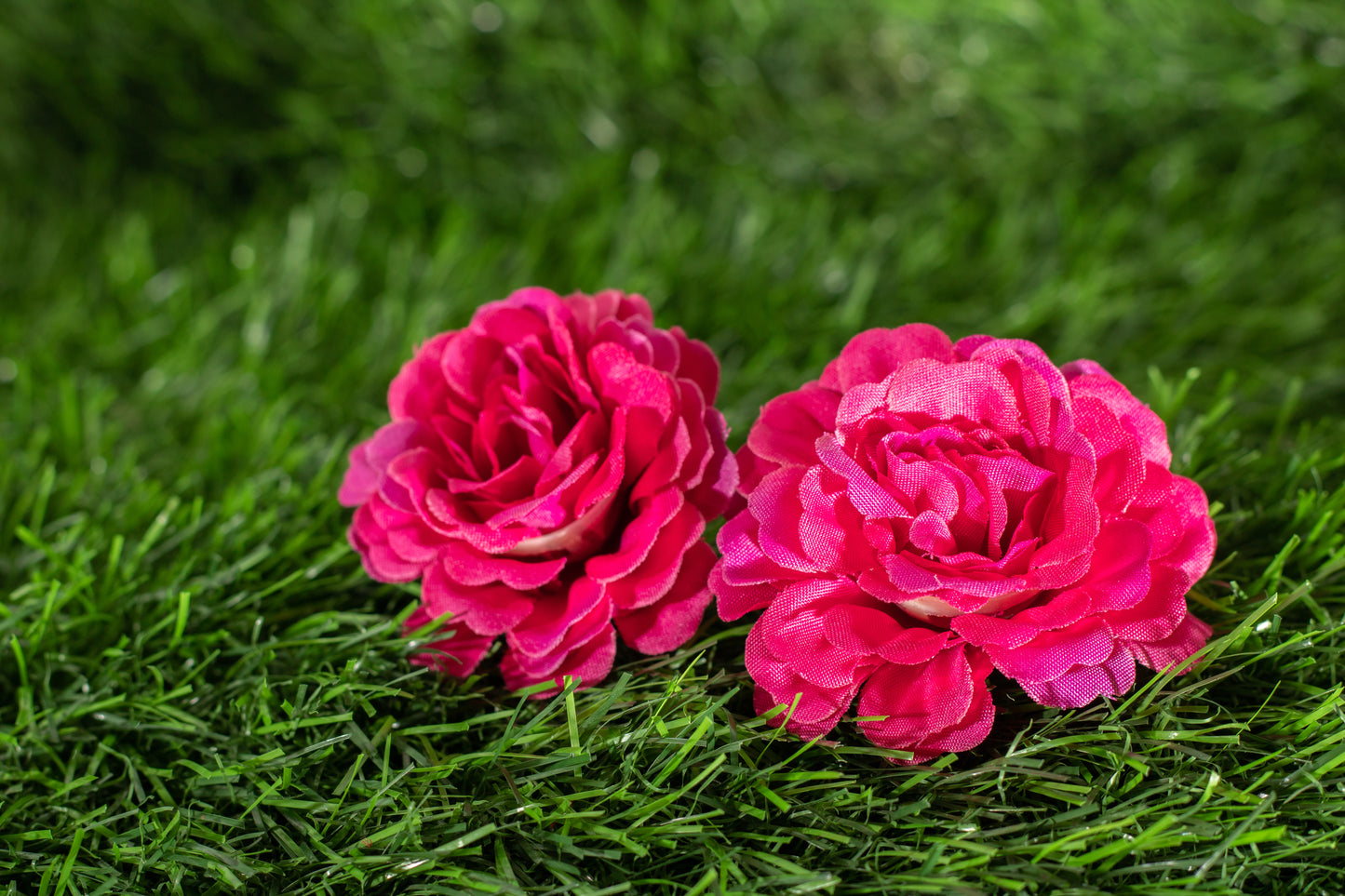 Floribunda Roses