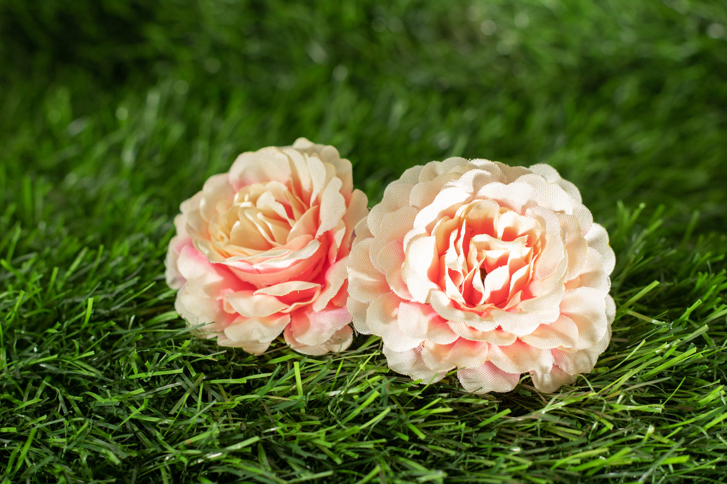 Floribunda Roses