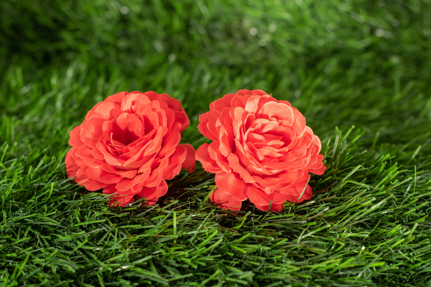 Floribunda Roses