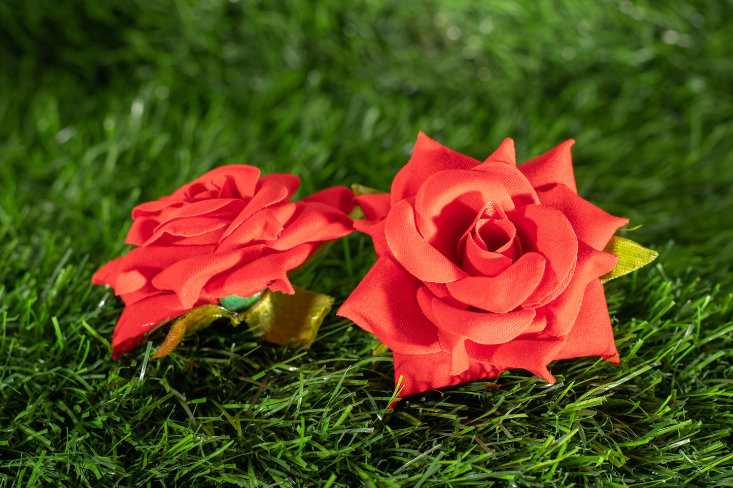 Roses