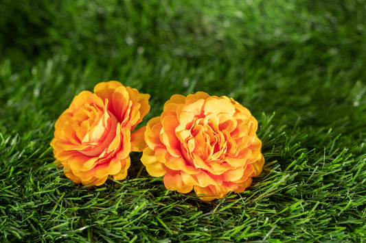 Floribunda Roses