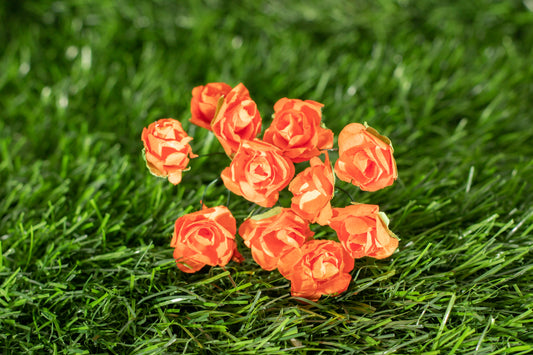Garden Roses