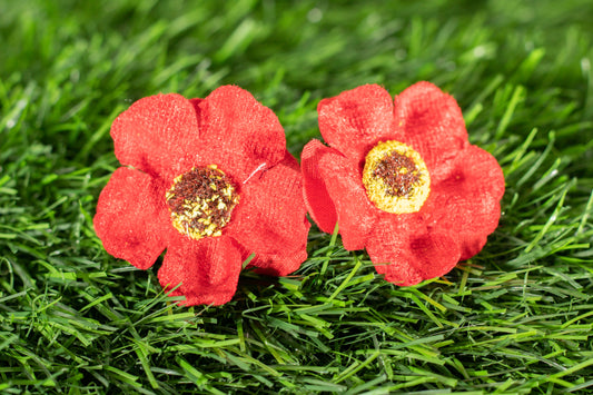 Japanese camellia