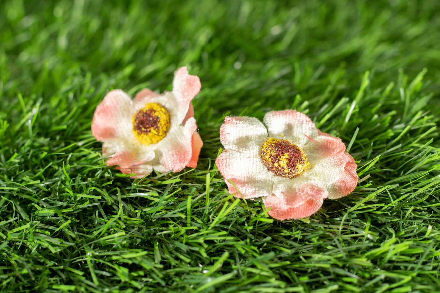 Japanese camellia