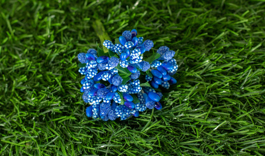 Grape Hyacinths