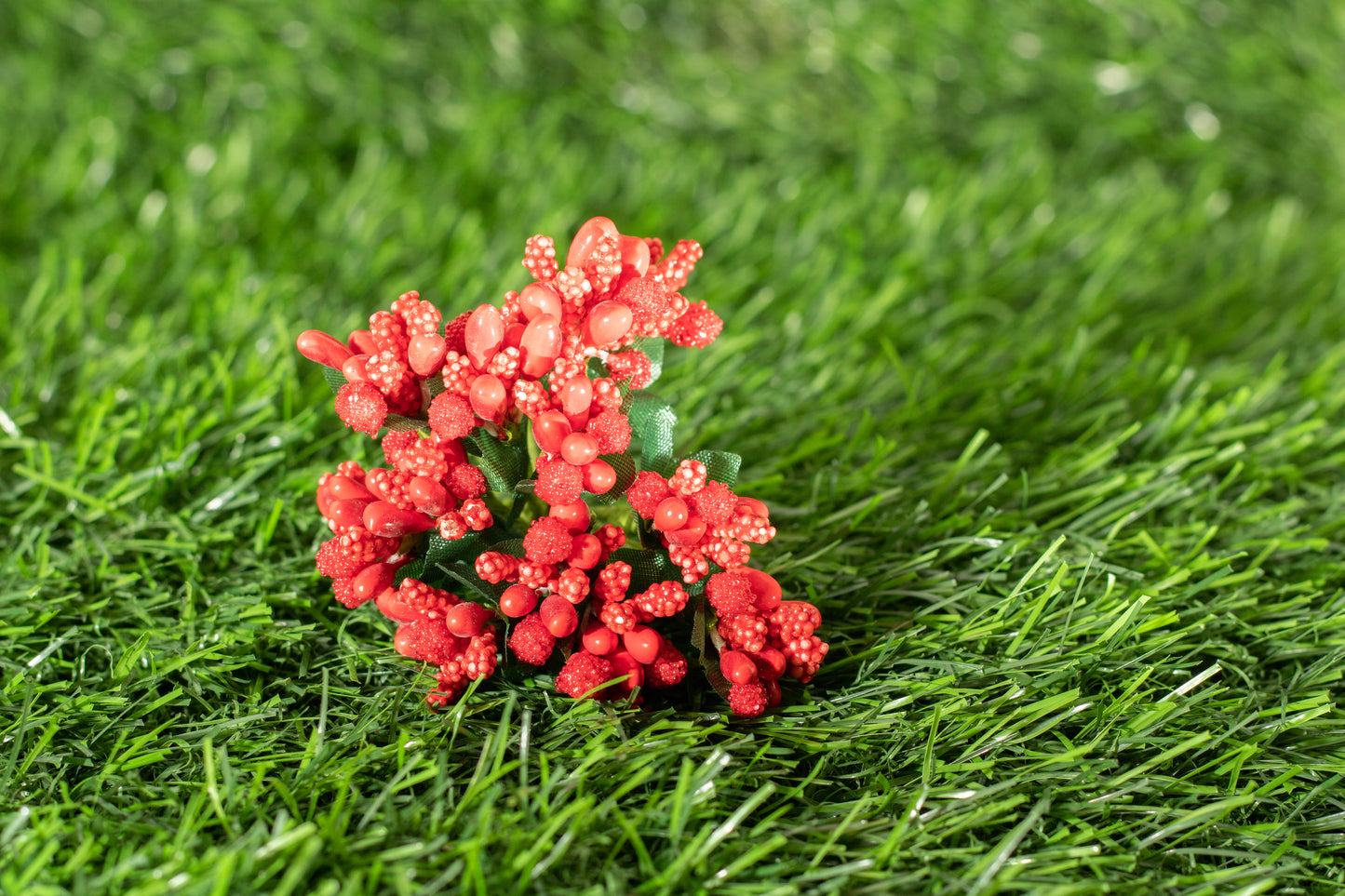 Grape Hyacinths