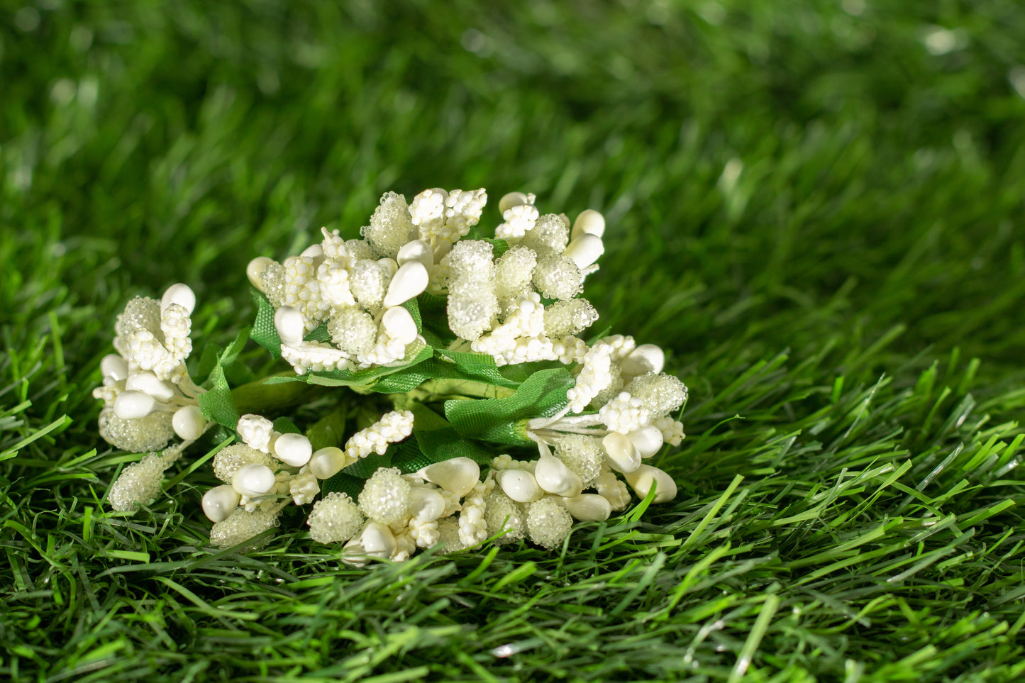 Grape Hyacinths