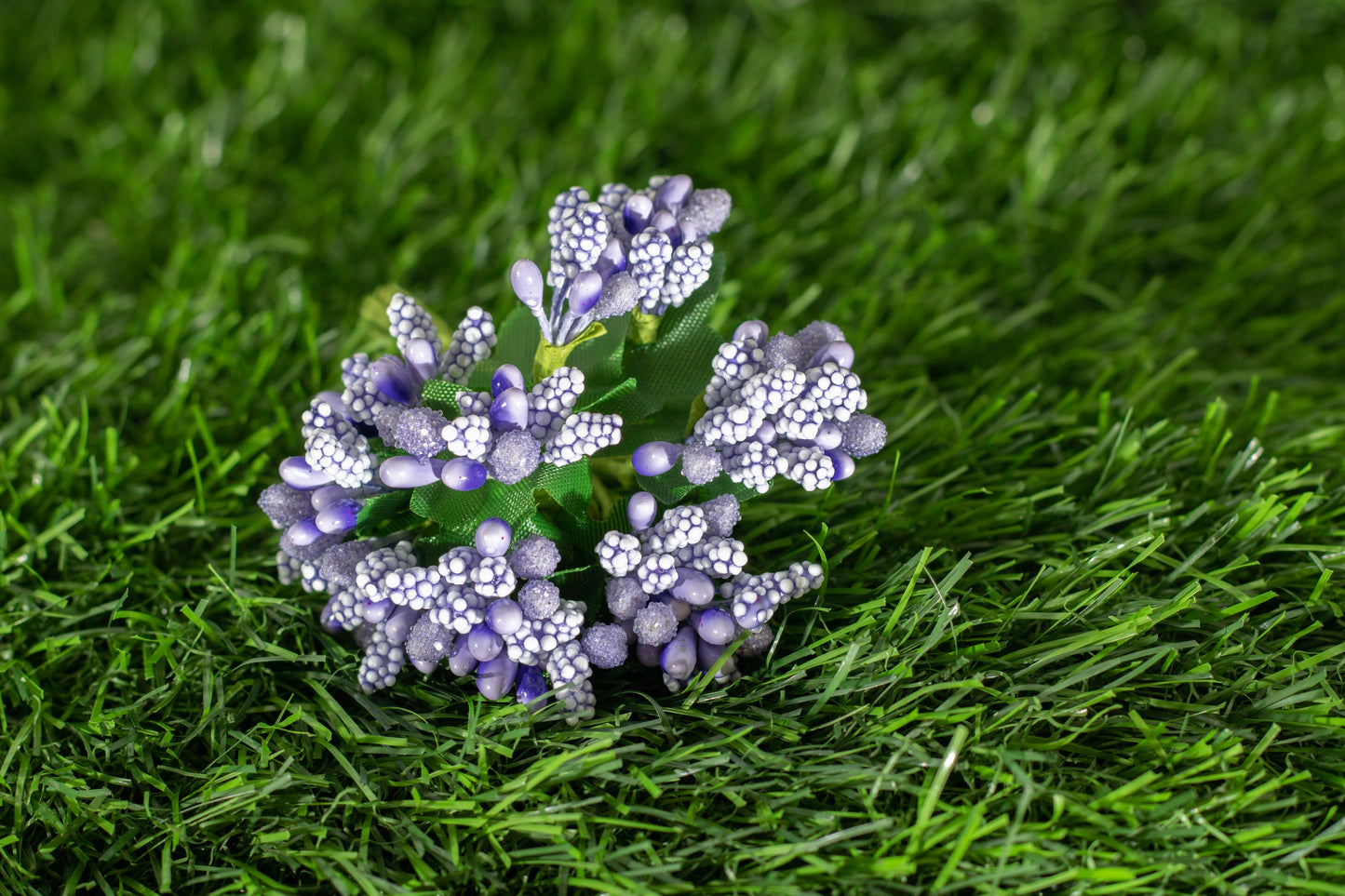 Grape Hyacinths