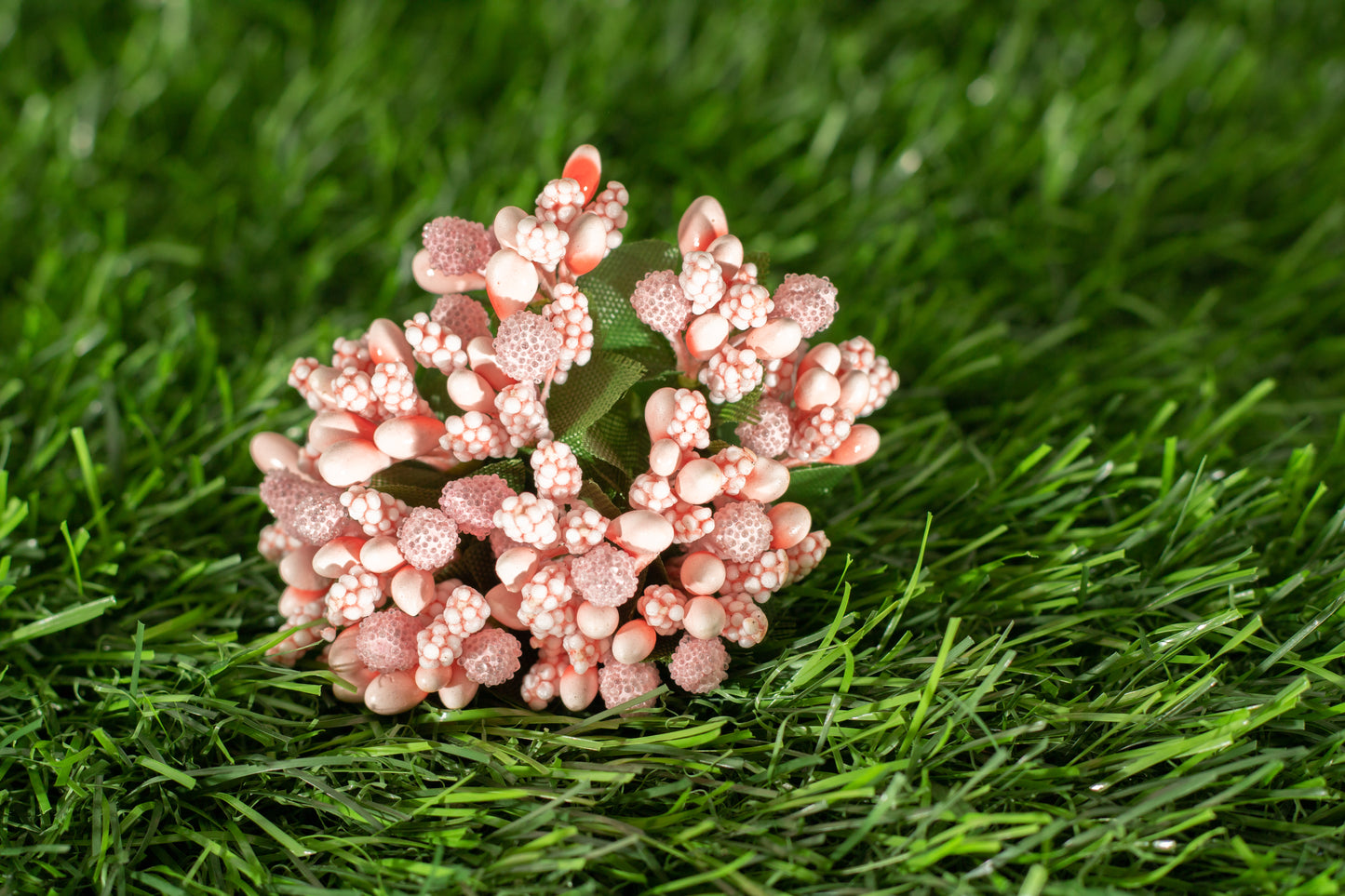 Grape Hyacinths