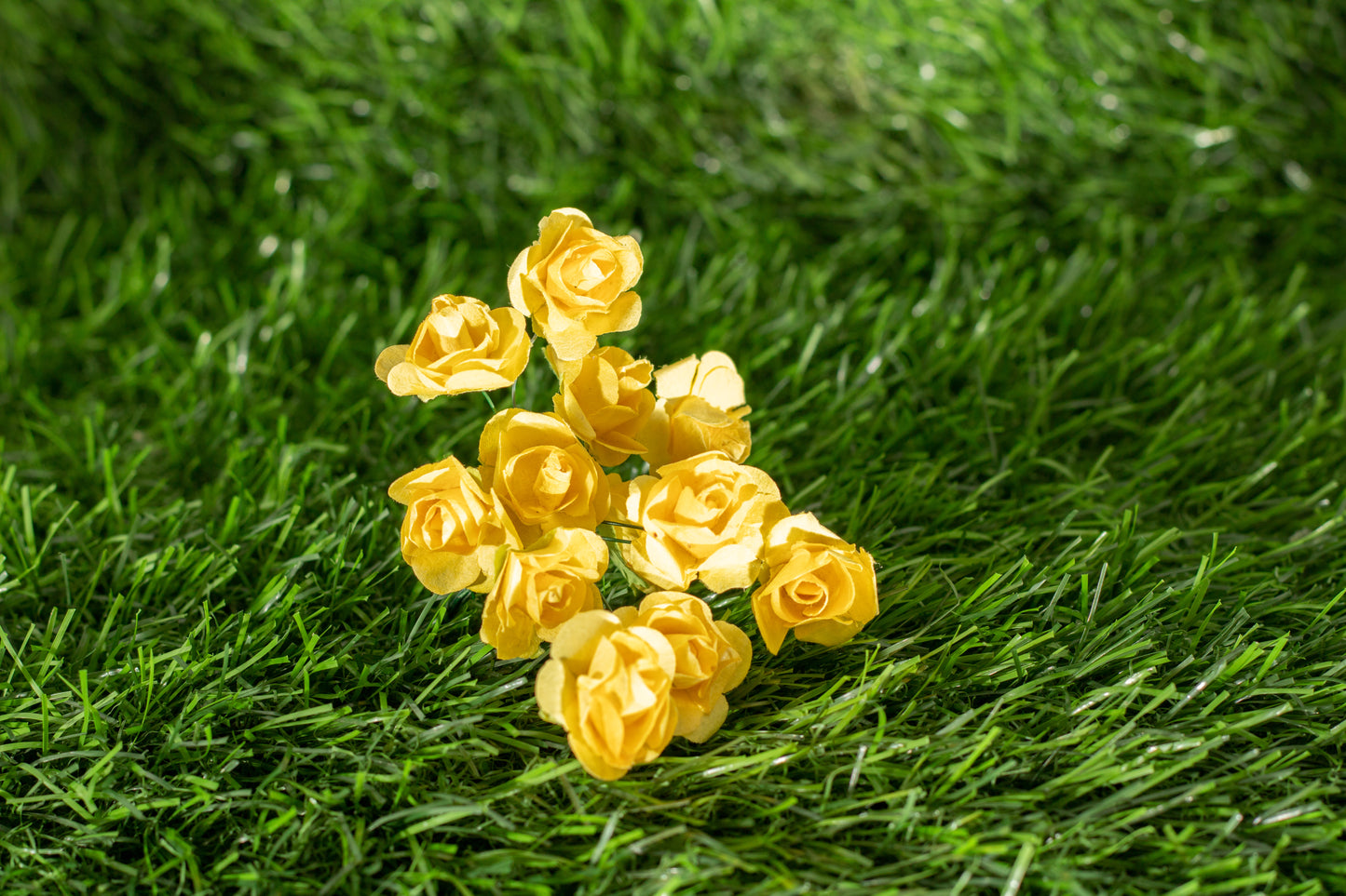 Garden Roses