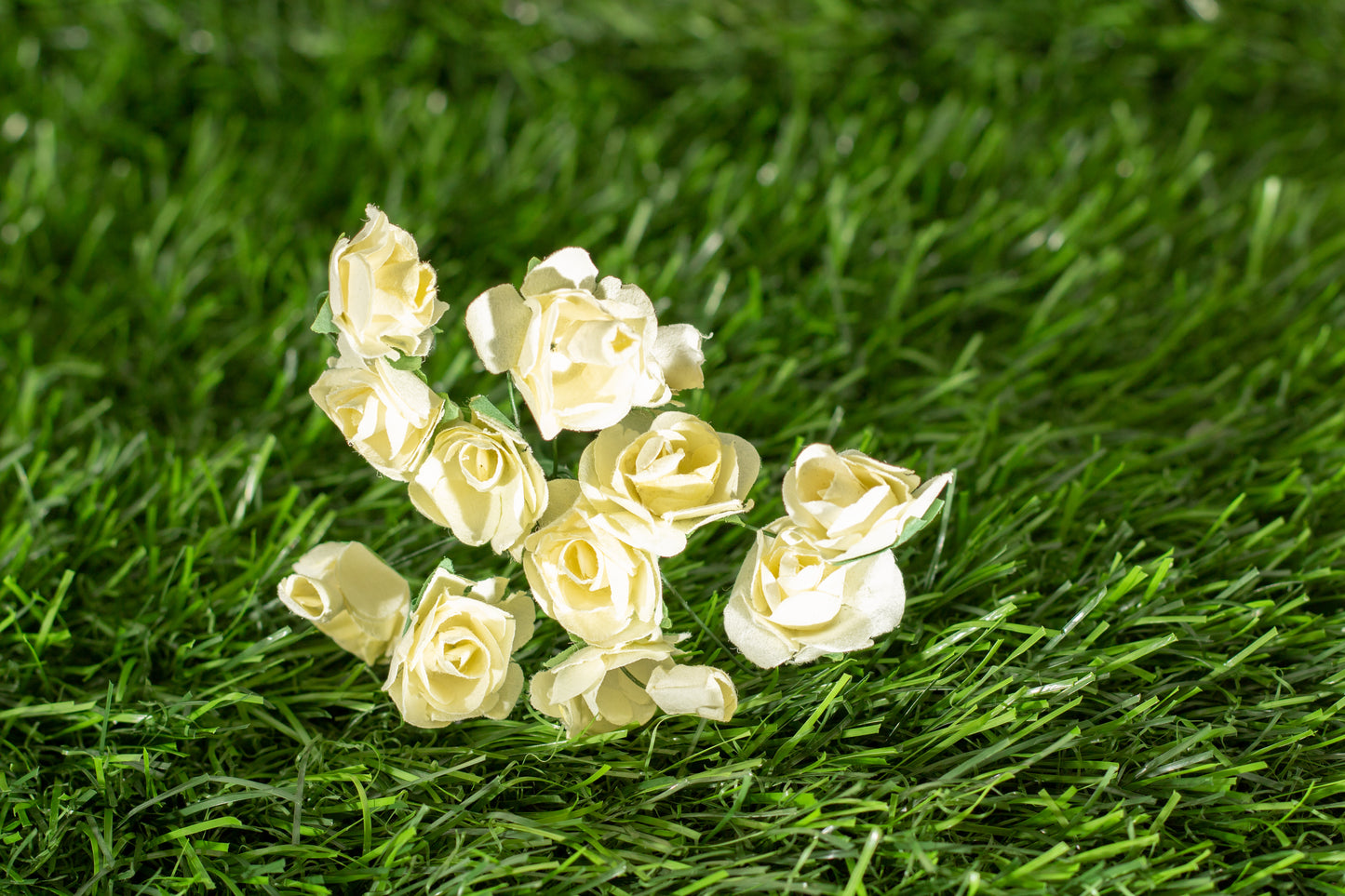 Garden Roses