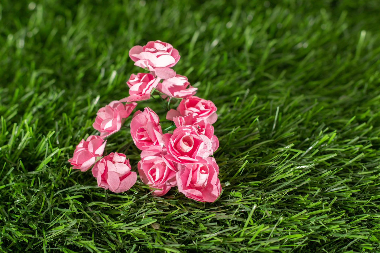 Garden Roses