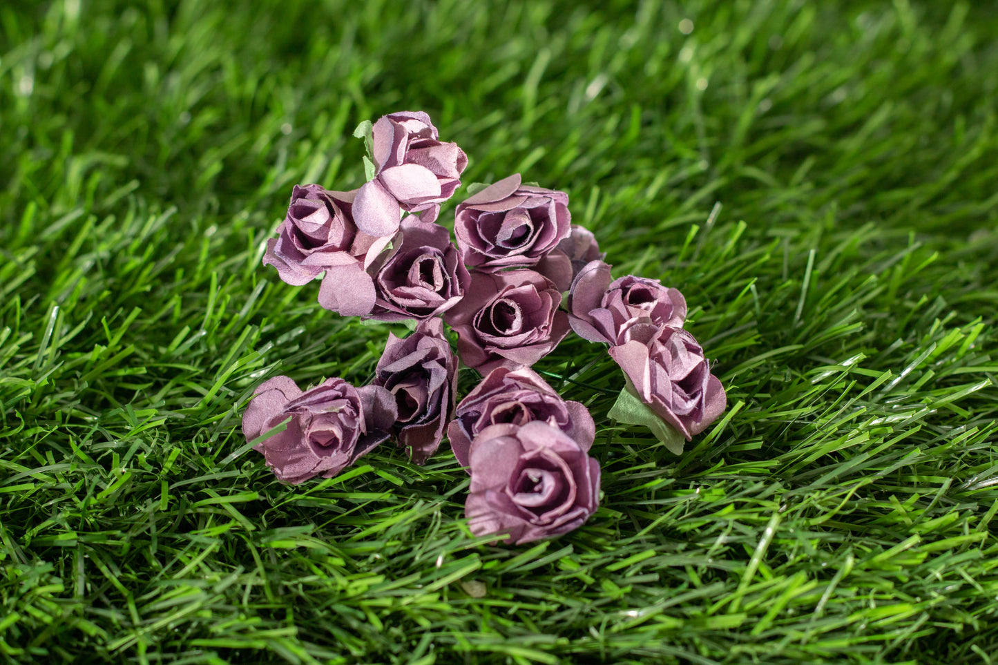 Garden Roses
