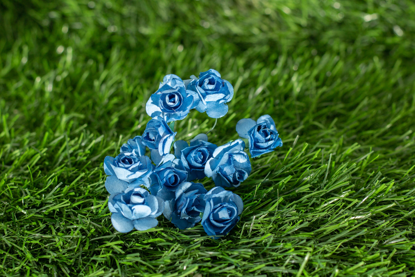 Garden Roses