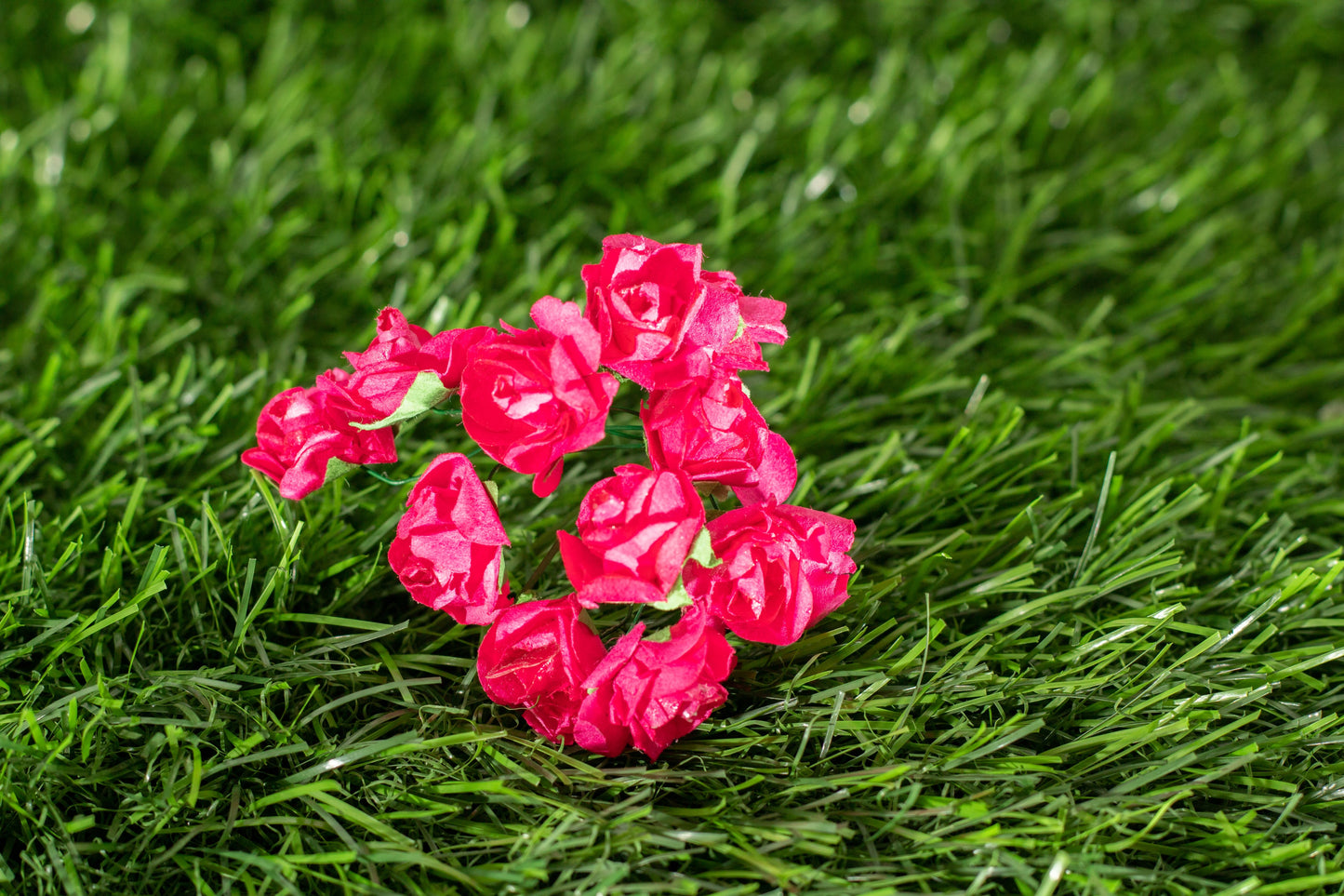 Garden Roses