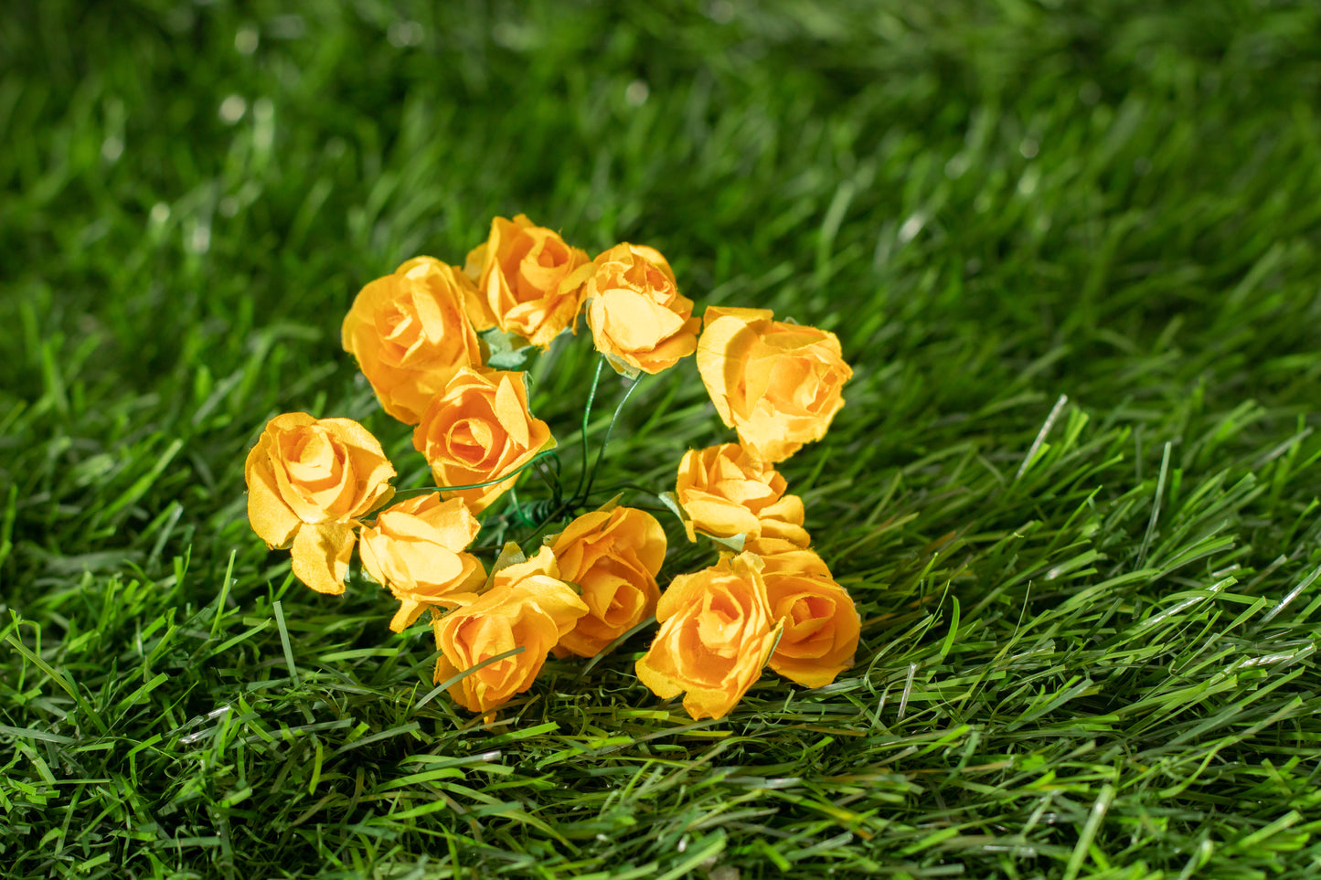 Garden Roses