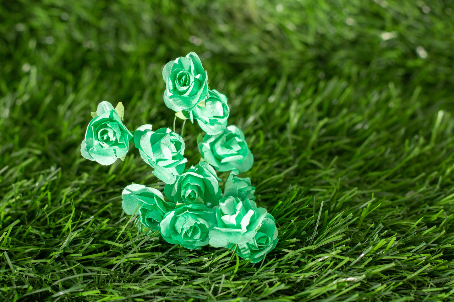 Garden Roses