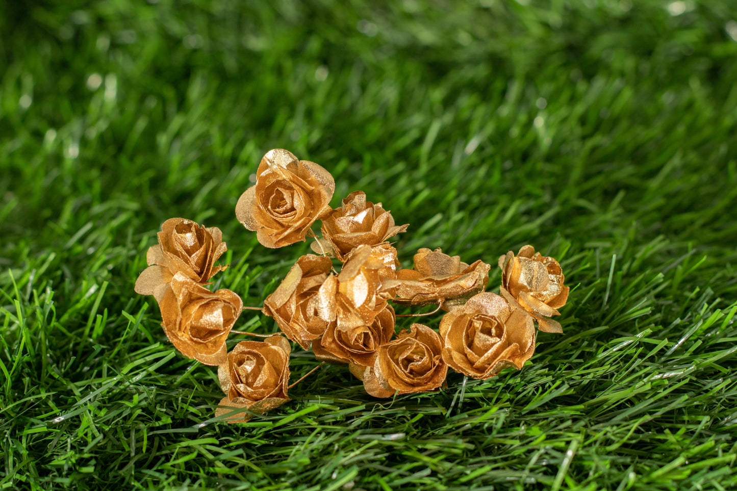 Garden Roses