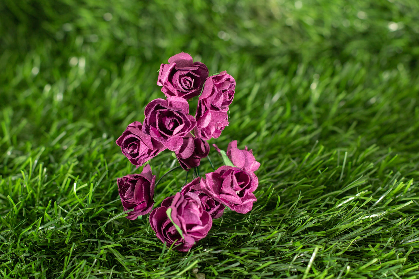 Garden Roses