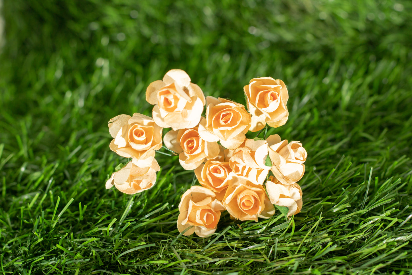 Garden Roses