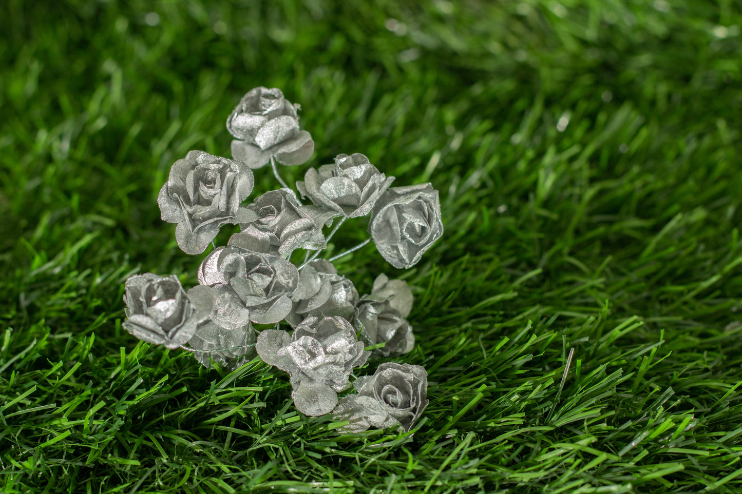 Garden Roses