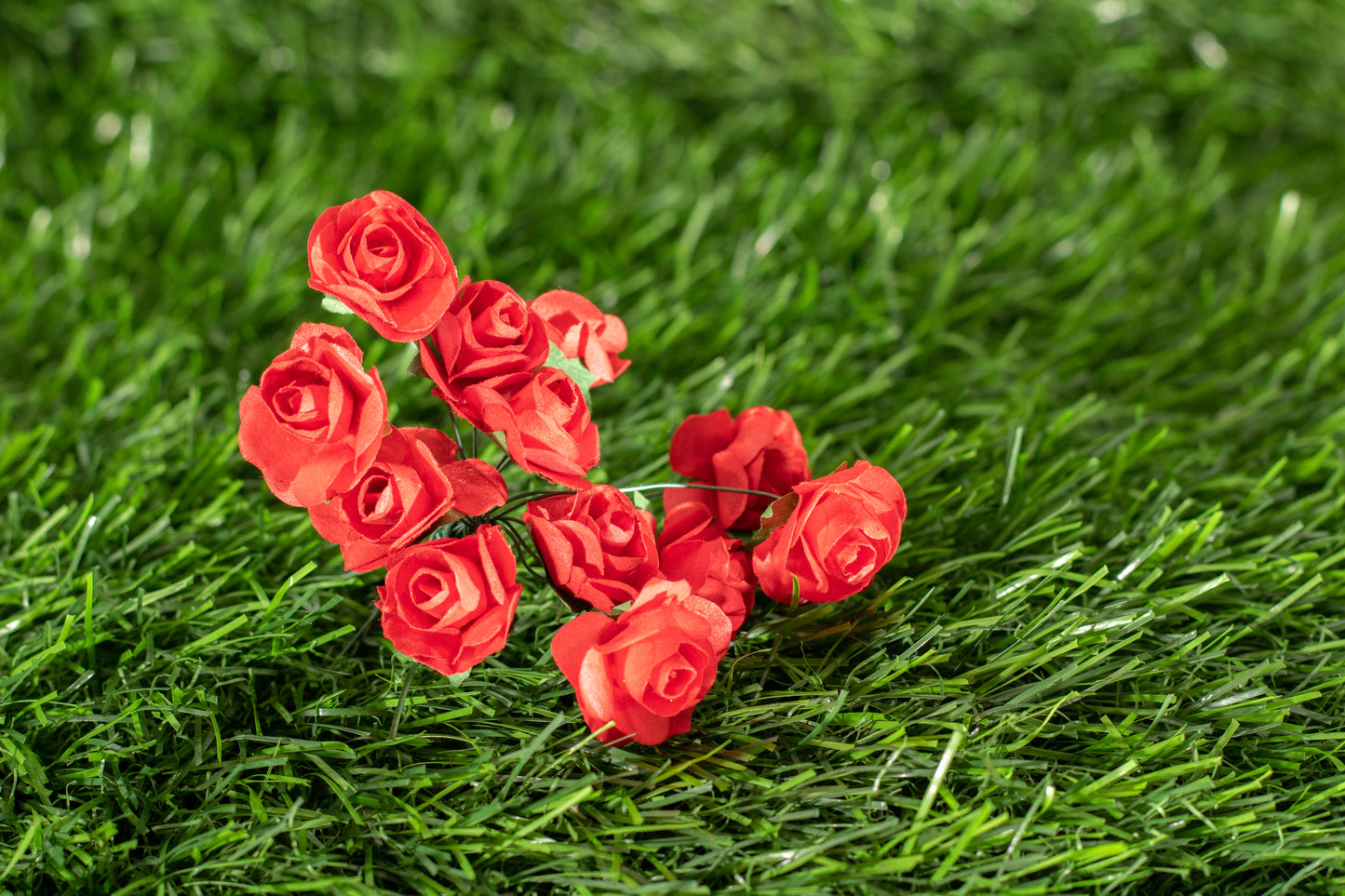 Garden Roses
