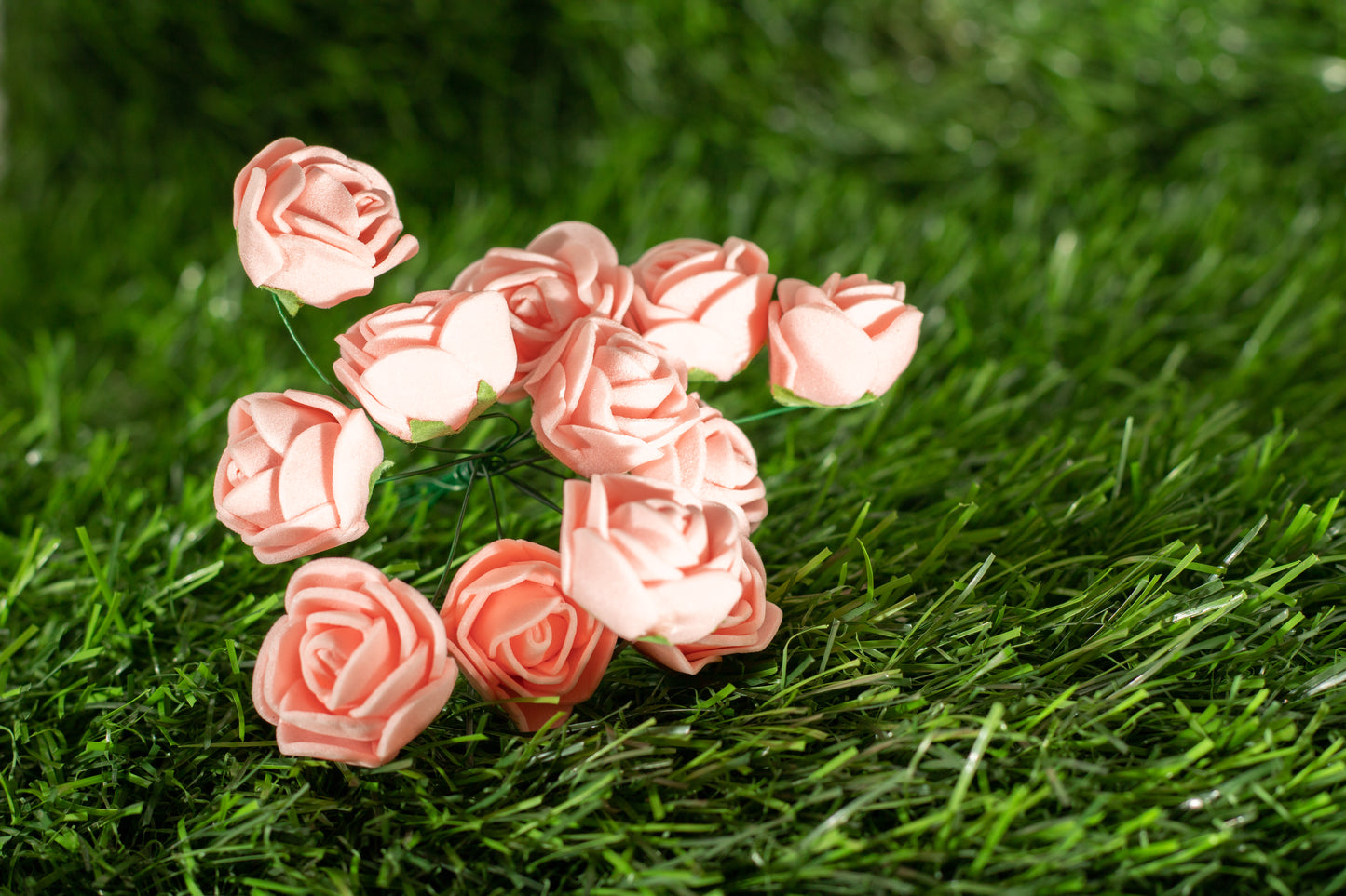 Garden Roses
