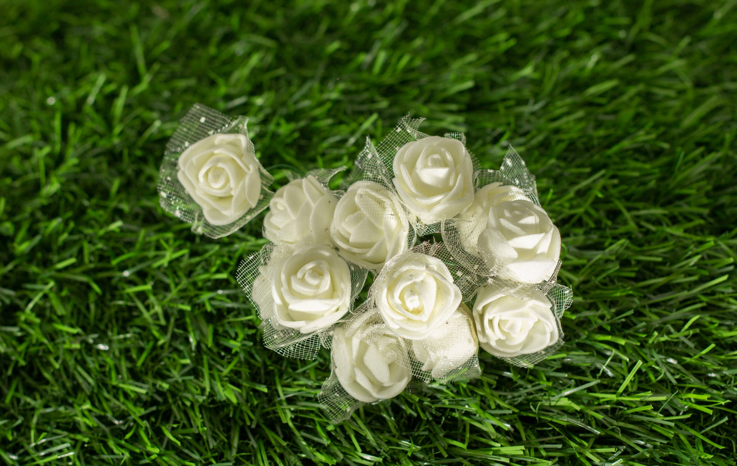Garden Roses