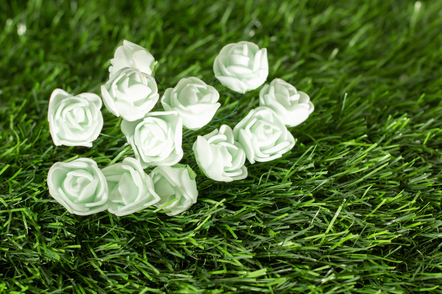 Garden Roses