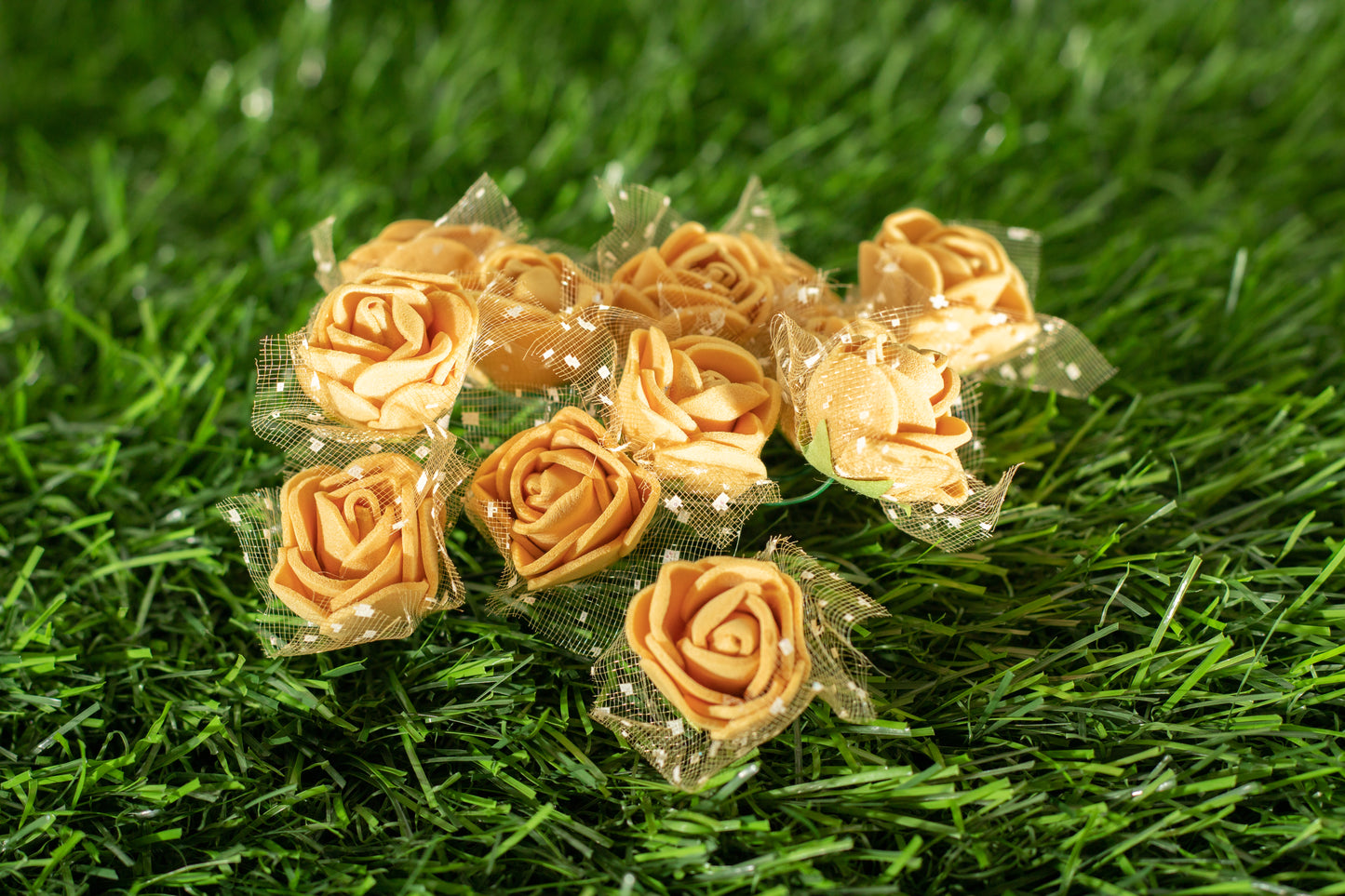 Garden Roses
