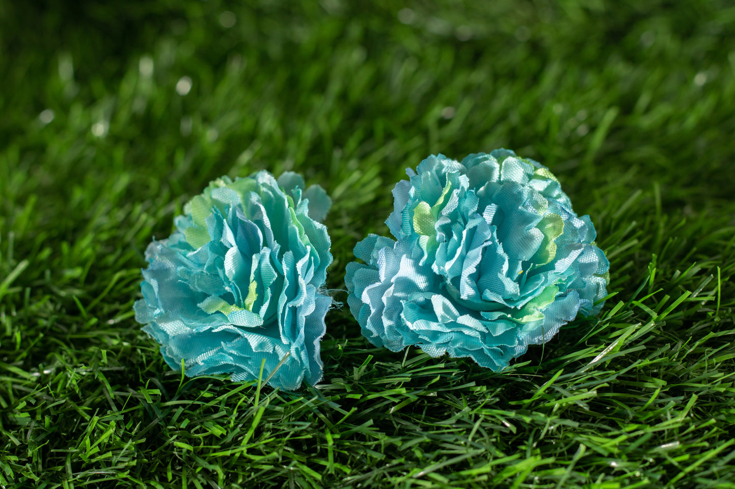 Paeonia lactiflora