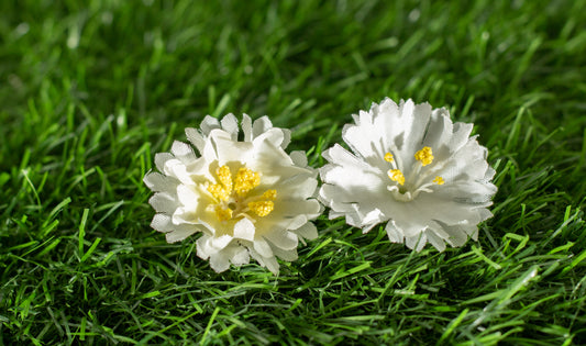 Moss Rose (edit)